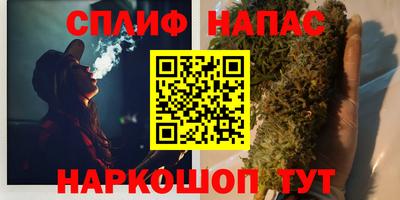 стафф Ставрополь