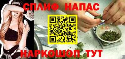 стафф Ставрополь