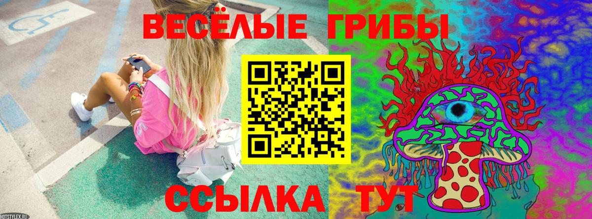 Галлюциногенные грибы мицелий Отрадное