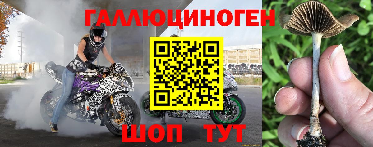 Отрадное  Псилоцибиновые грибы мицелий  Вход с VPN 