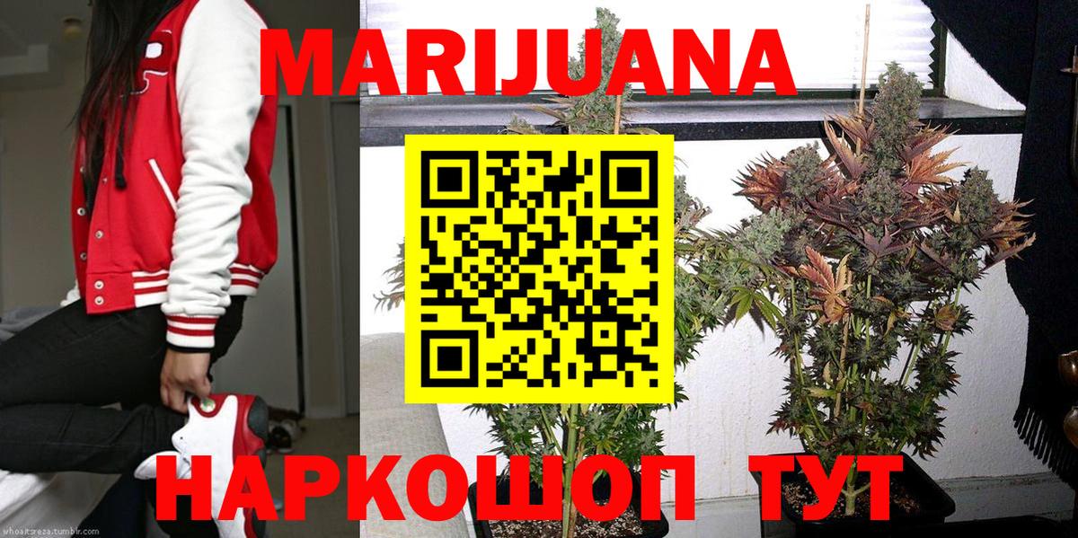 Конопля Bruce Banner  Канабис гибрид  Бошки Шишки LSD WEED  Вход с VPN  Отрадное  Каннабис White Widow 